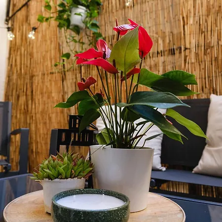 Apartament La Almenara Bari